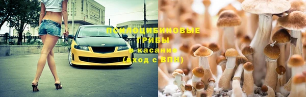 индика Абдулино