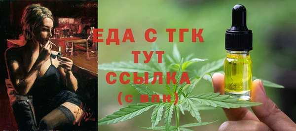 индика Абинск