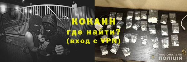 индика Абинск