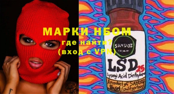 индика Абинск