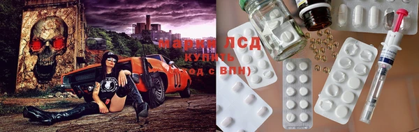 индика Абинск