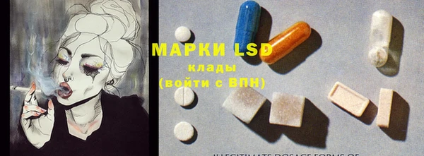 индика Абинск