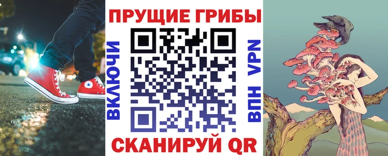 хочу   blacksprut сайт  Галлюциногенные грибы Magic Shrooms  Шлиссельбург 
